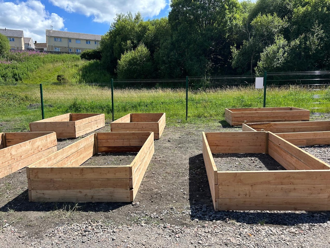 Raised bed 1